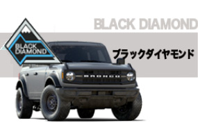 BLACK DIAMONDブラックダイアモンド